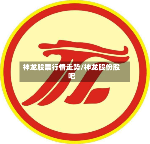 神龙股票行情走势/神龙股份股吧-第3张图片