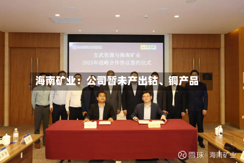 海南矿业：公司暂未产出钴	、铜产品-第1张图片
