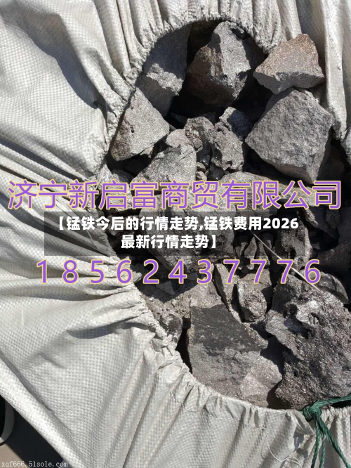 【锰铁今后的行情走势,锰铁费用2026最新行情走势】-第1张图片
