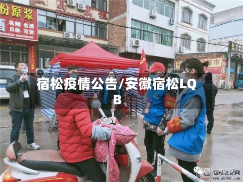 宿松疫情公告/安徽宿松LQB-第3张图片