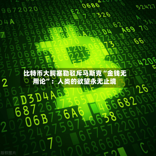 比特币大鳄塞勒驳斥马斯克“金钱无用论	”：人类的欲望永无止境-第1张图片