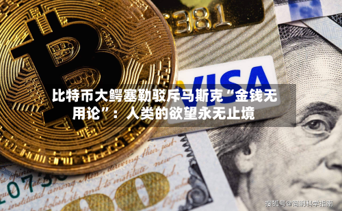 比特币大鳄塞勒驳斥马斯克“金钱无用论”：人类的欲望永无止境-第2张图片