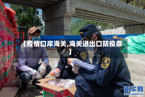 【疫情口岸海关,海关进出口防疫条】-第1张图片