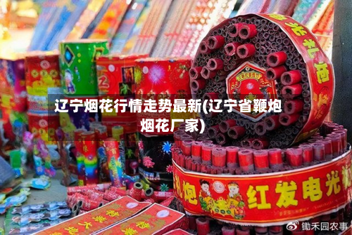 辽宁烟花行情走势最新(辽宁省鞭炮烟花厂家)-第1张图片
