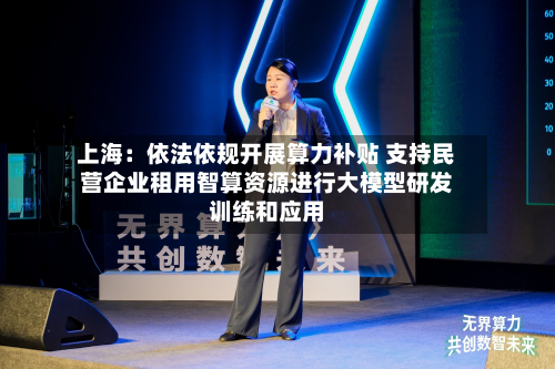 上海：依法依规开展算力补贴 支持民营企业租用智算资源进行大模型研发训练和应用-第1张图片