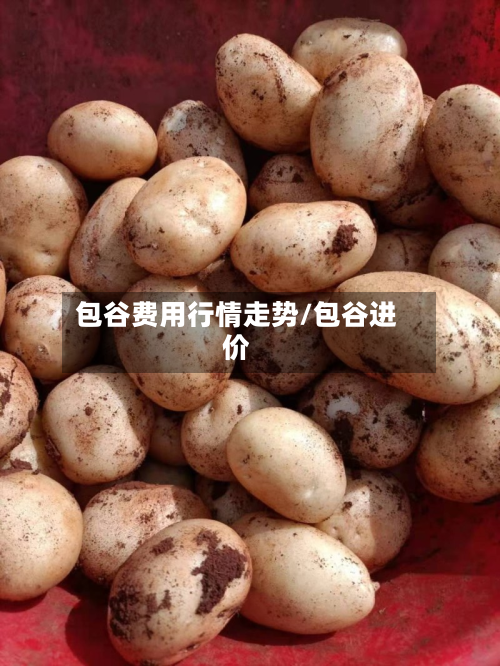 包谷费用行情走势/包谷进价-第1张图片