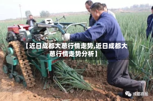 【近日成都大葱行情走势,近日成都大葱行情走势分析】-第2张图片