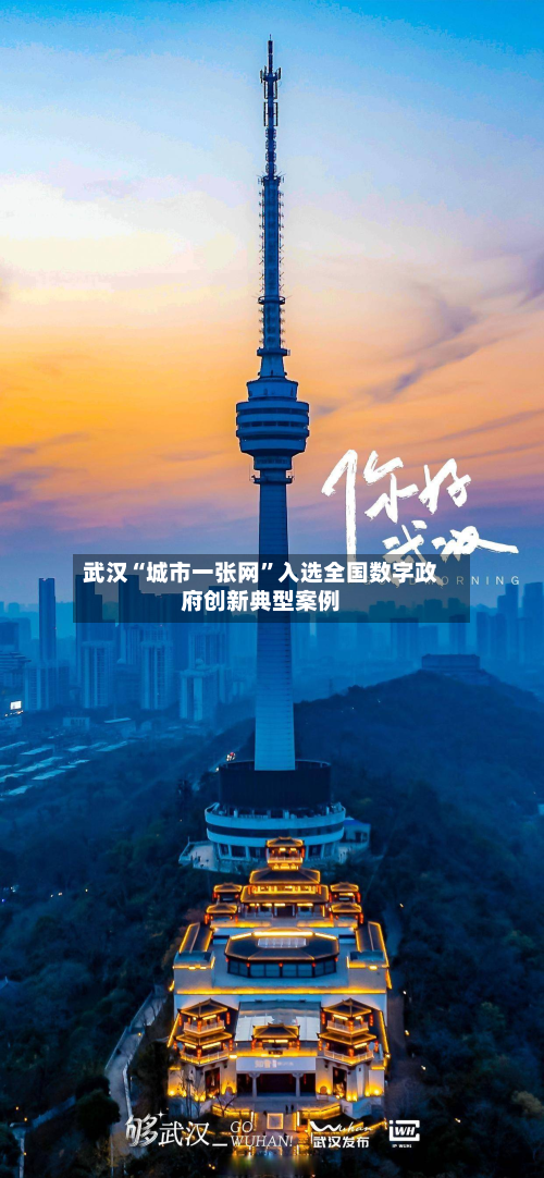 武汉“城市一张网”入选全国数字政府创新典型案例-第3张图片