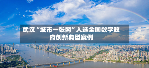 武汉“城市一张网”入选全国数字政府创新典型案例-第2张图片