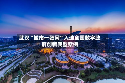 武汉“城市一张网	”入选全国数字政府创新典型案例-第1张图片