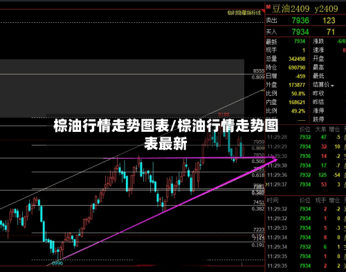 棕油行情走势图表/棕油行情走势图表最新-第1张图片