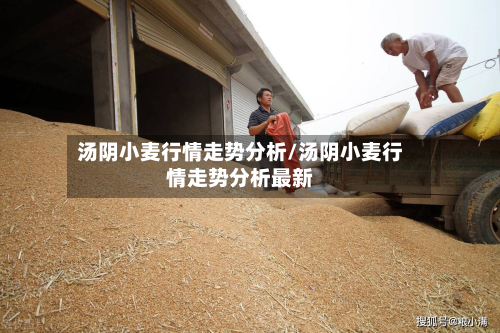 汤阴小麦行情走势分析/汤阴小麦行情走势分析最新-第1张图片