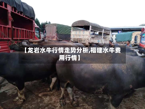 【龙岩水牛行情走势分析,福建水牛费用行情】-第1张图片