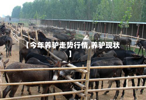 【今年养驴走势行情,养驴现状】-第3张图片