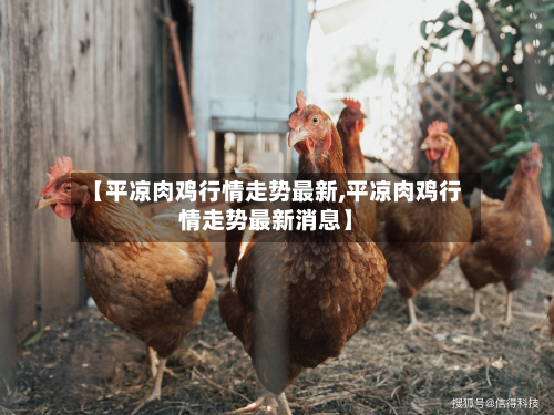 【平凉肉鸡行情走势最新,平凉肉鸡行情走势最新消息】-第1张图片