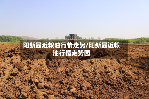 阳新最近粮油行情走势/阳新最近粮油行情走势图-第2张图片