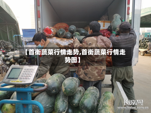 【首衡蔬菜行情走势,首衡蔬菜行情走势图】-第3张图片