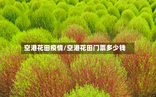 空港花田疫情/空港花田门票多少钱-第3张图片
