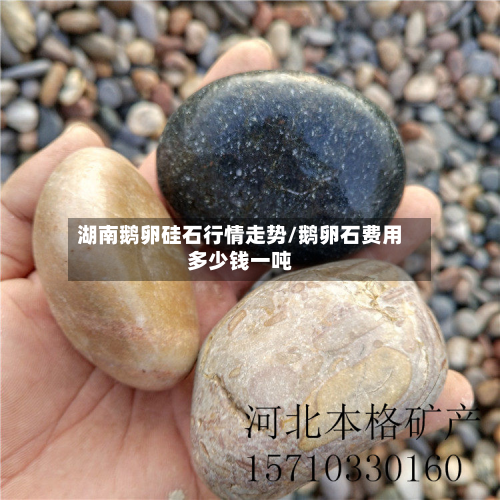 湖南鹅卵硅石行情走势/鹅卵石费用多少钱一吨-第3张图片