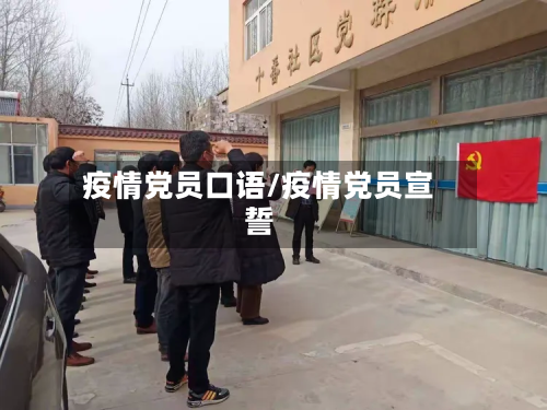 疫情党员口语/疫情党员宣誓-第2张图片