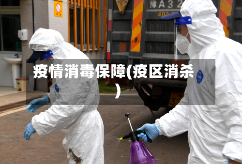 疫情消毒保障(疫区消杀)-第1张图片