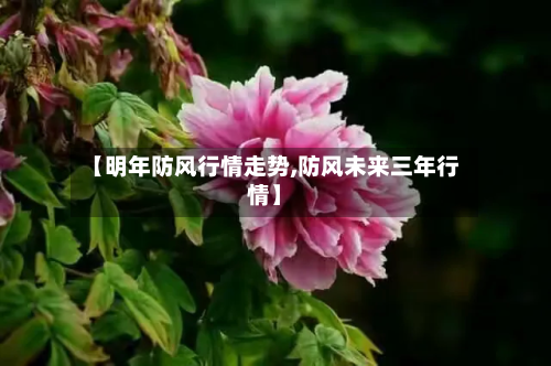 【明年防风行情走势,防风未来三年行情】-第1张图片