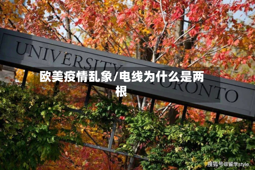 欧美疫情乱象/电线为什么是两根-第1张图片