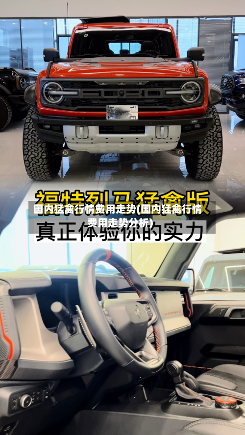国内猛禽行情费用走势(国内猛禽行情费用走势分析)-第1张图片