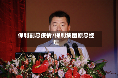 保利副总疫情/保利集团原总经理-第1张图片