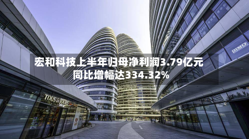 宏和科技上半年归母净利润3.79亿元 同比增幅达334.32%-第3张图片