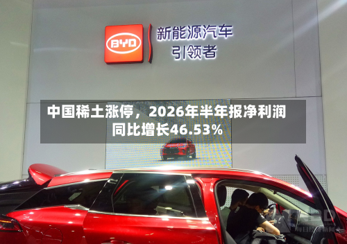 中国稀土涨停，2026年半年报净利润同比增长46.53%-第1张图片