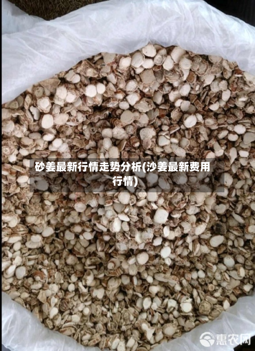 砂姜最新行情走势分析(沙姜最新费用行情)-第1张图片