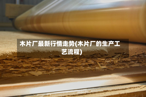 木片厂最新行情走势(木片厂的生产工艺流程)-第2张图片