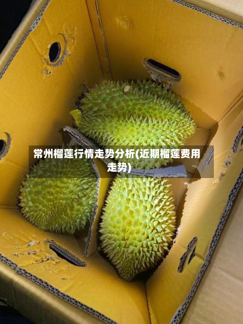 常州榴莲行情走势分析(近期榴莲费用走势)-第1张图片
