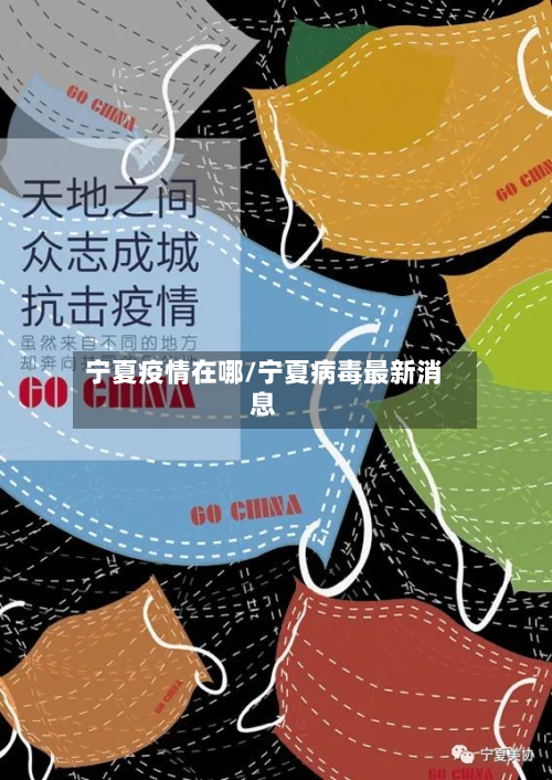 宁夏疫情在哪/宁夏病毒最新消息-第1张图片