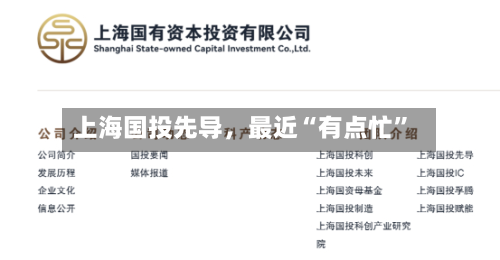 上海国投先导，最近“有点忙	”-第2张图片