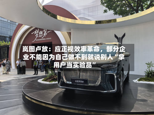 岚图卢放：应正视效率革命，部分企业不能因为自己做不到就说别人“拿用户当实验品”-第2张图片