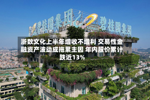 浙数文化上半年增收不增利 交易性金融资产波动成拖累主因 年内股价累计跌近13%-第2张图片