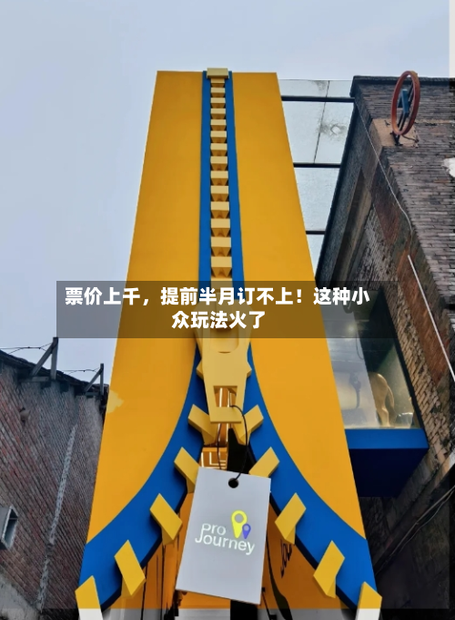 票价上千	，提前半月订不上！这种小众玩法火了-第1张图片