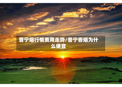 普宁烟行情费用走势/普宁香烟为什么便宜-第3张图片