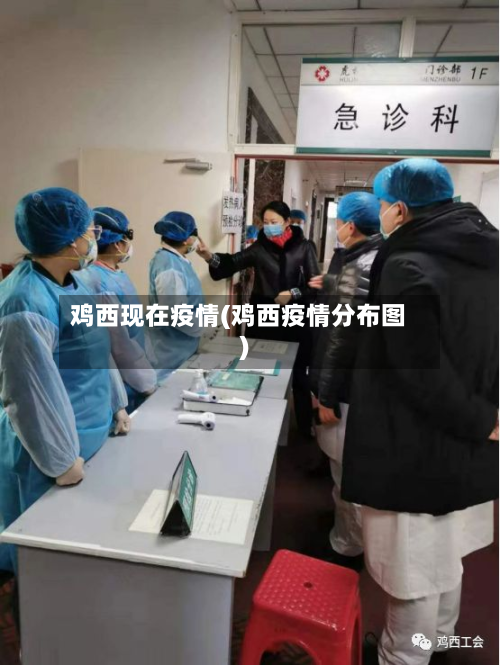 鸡西现在疫情(鸡西疫情分布图)-第1张图片