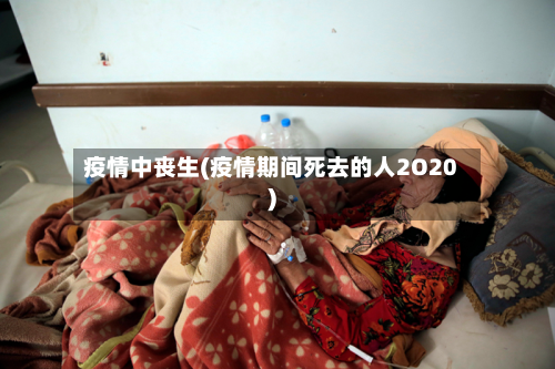 疫情中丧生(疫情期间死去的人2O20)-第2张图片