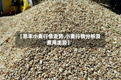 【思丰小麦行情走势,小麦行情分析及费用走势】-第2张图片