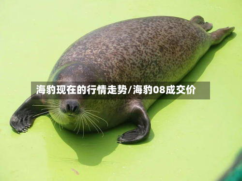 海豹现在的行情走势/海豹08成交价-第3张图片