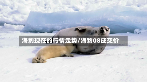 海豹现在的行情走势/海豹08成交价-第1张图片