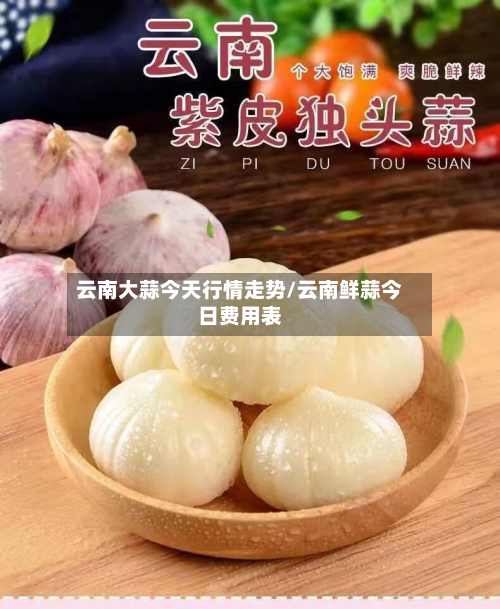 云南大蒜今天行情走势/云南鲜蒜今日费用表-第1张图片