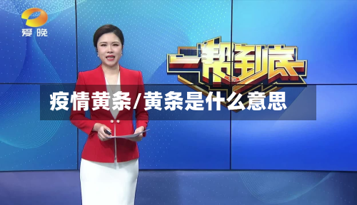 疫情黄条/黄条是什么意思-第2张图片