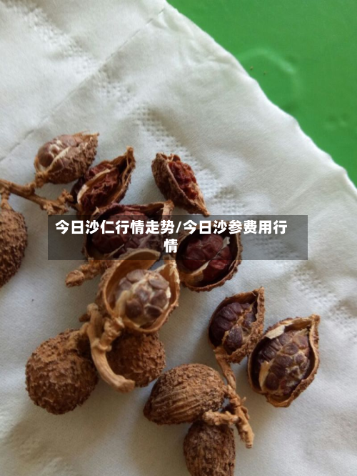 今日沙仁行情走势/今日沙参费用行情-第1张图片