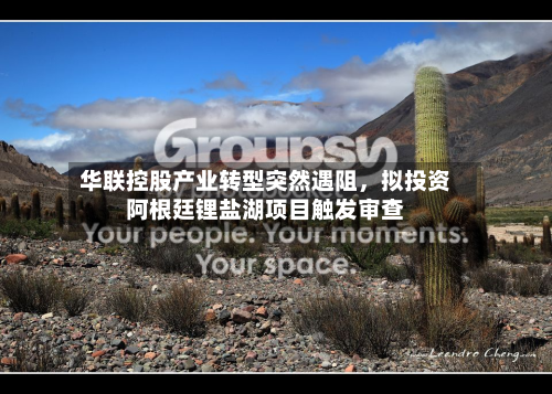 华联控股产业转型突然遇阻，拟投资阿根廷锂盐湖项目触发审查-第2张图片