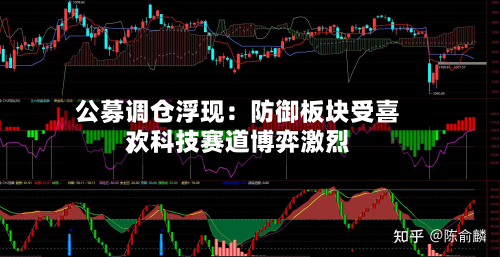 公募调仓浮现：防御板块受喜欢，科技赛道博弈激烈-第3张图片